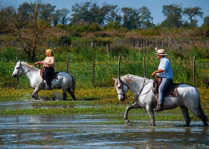 Manade des Baumelles